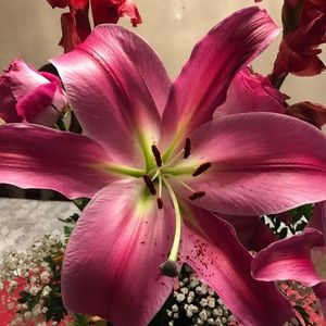 Meet your Posher, Brenda